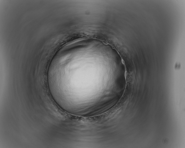 X0000092261009200709281200