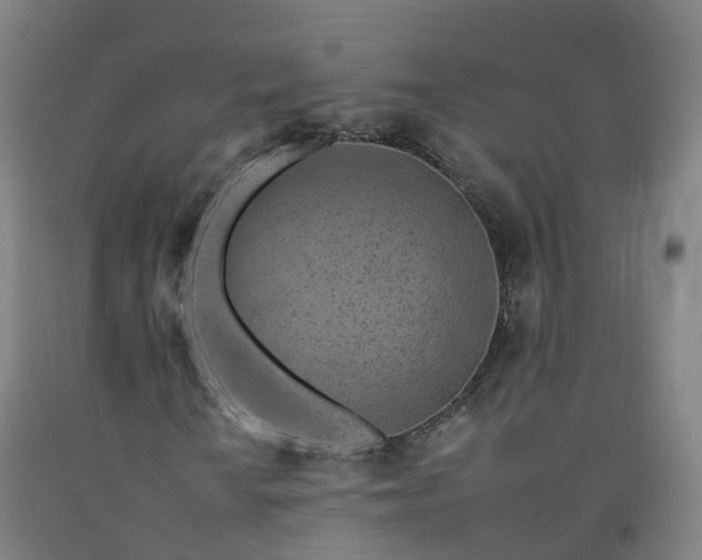 X0000092261010200709281200