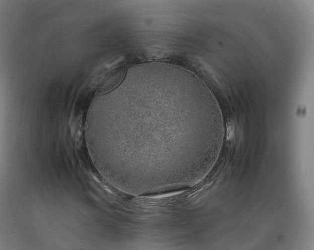 X0000092261011200709281200