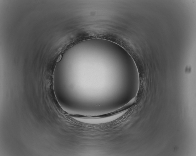 X0000092261012200709281200