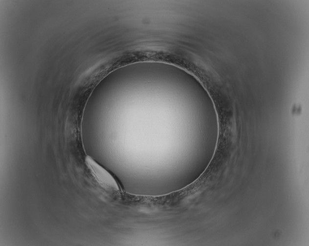 X0000092261014200709281200