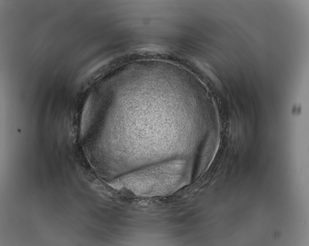 X0000092261015200709281200