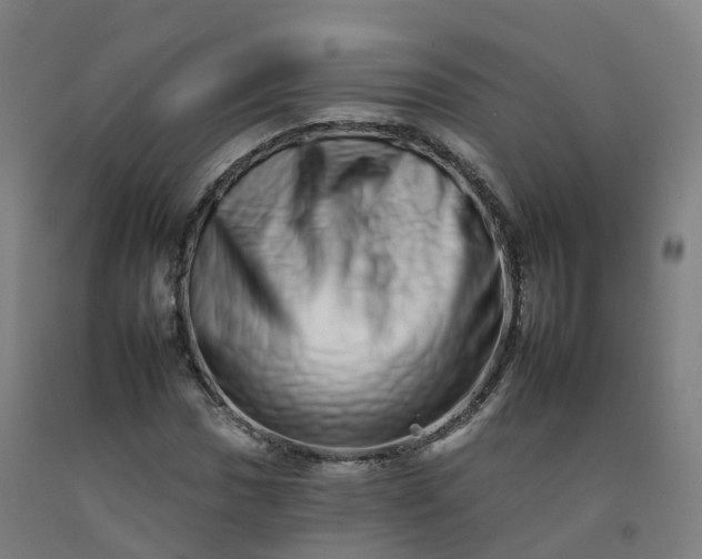 X0000092261017200709281200