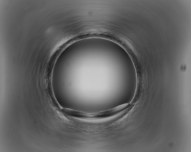 X0000092261018200709281200