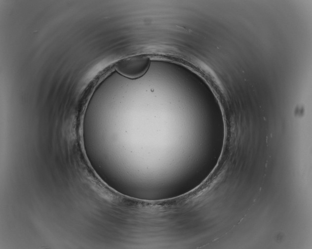 X0000092261019200709281200