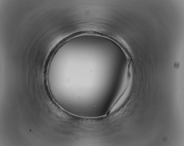 X0000092261020200709281200