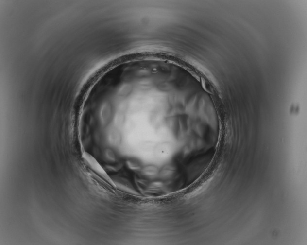 X0000092261021200709281200