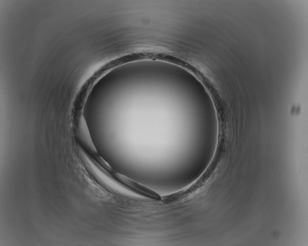 X0000092261022200709281200