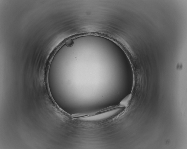 X0000092261023200709281200