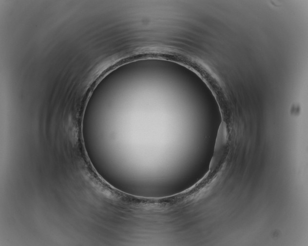 X0000092261025200709281200