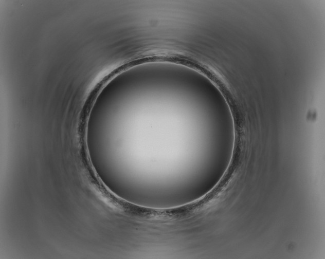 X0000092261026200709281200