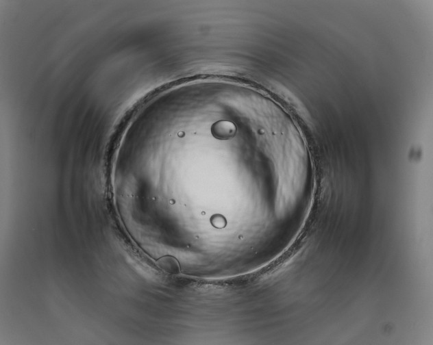 X0000092261027200709281200