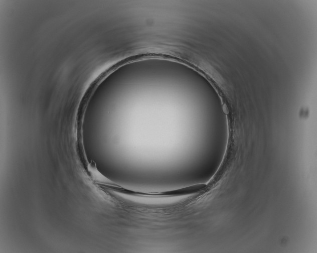 X0000092261028200709281200