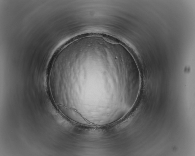 X0000092261029200709281200