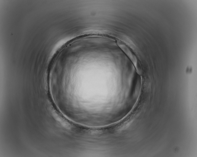 X0000092261030200709281200