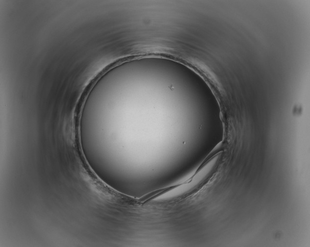 X0000092261031200709281200