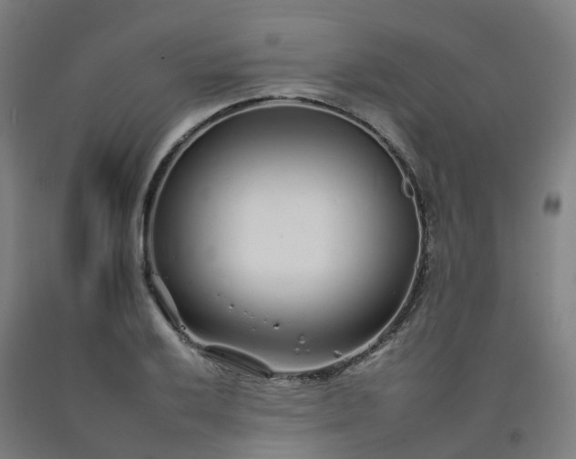 X0000092261032200709281200