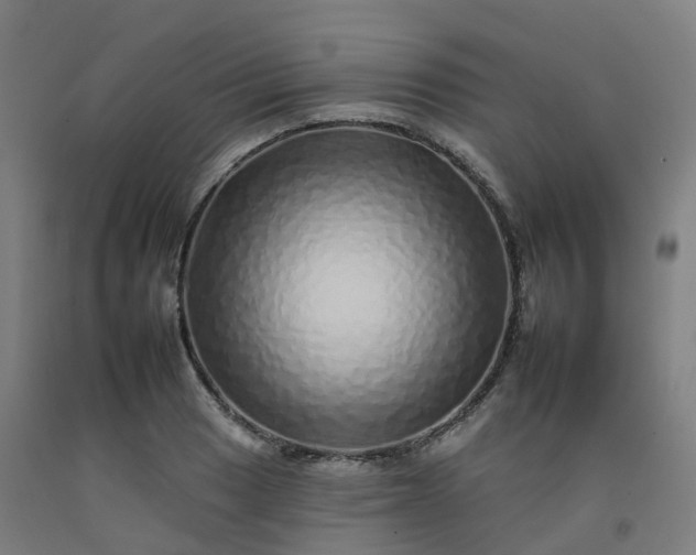 X0000092261033200709281200