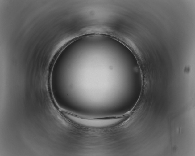 X0000092261035200709281200