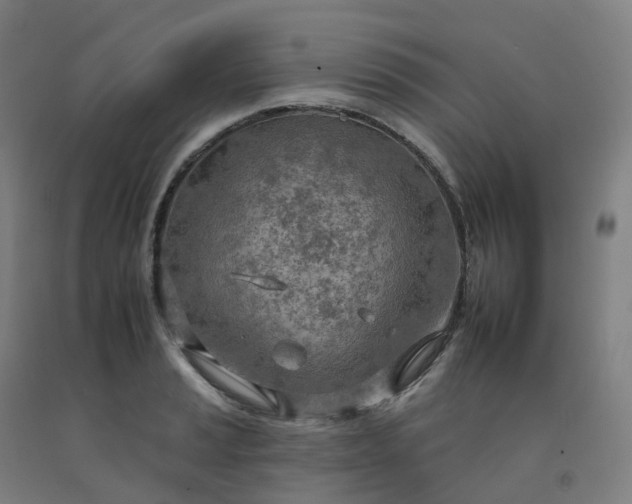 X0000092261037200709281200