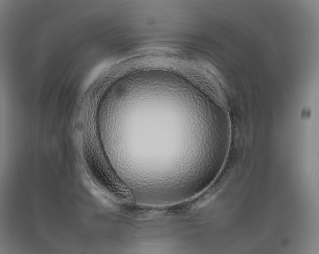 X0000092261038200709281200