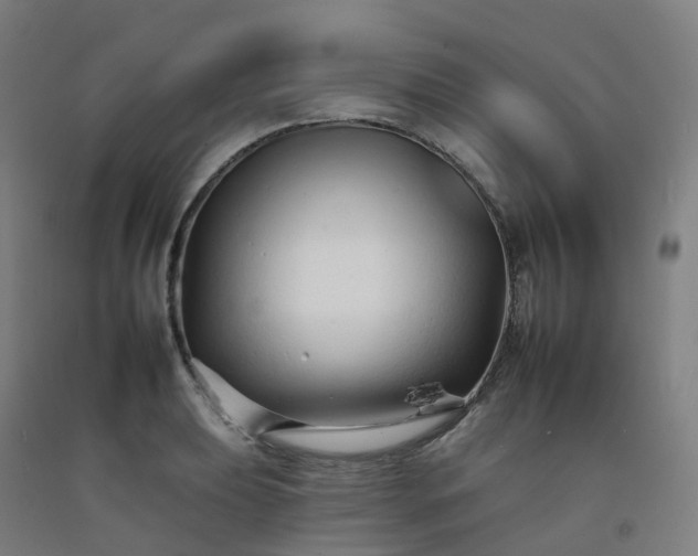 X0000092261039200709281200