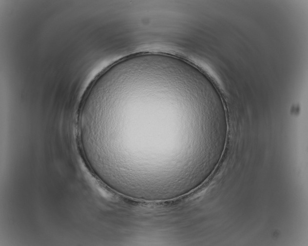 X0000092261040200709281200