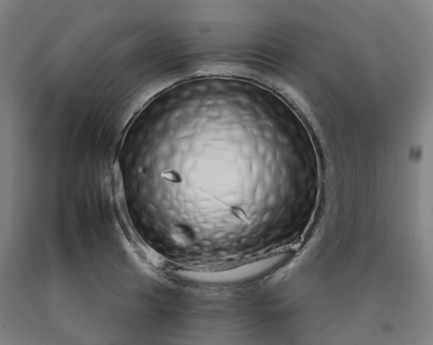 X0000092261041200709281200