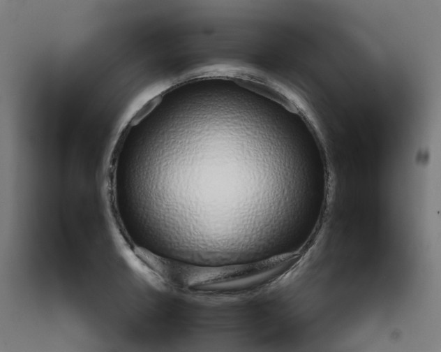 X0000092261042200709281200