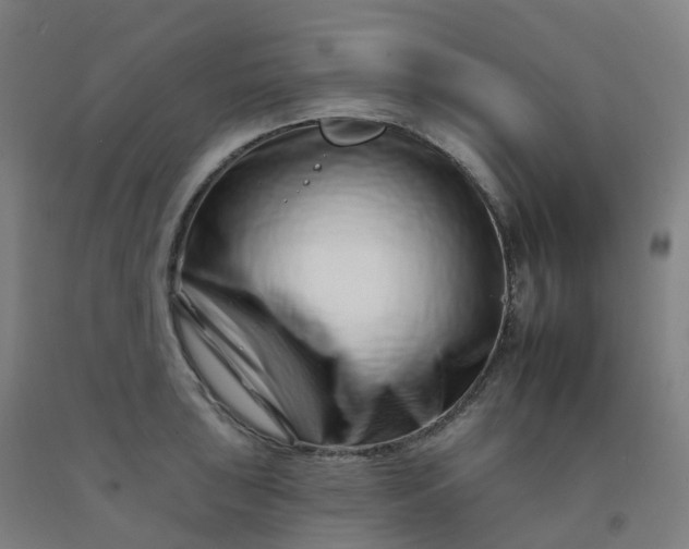 X0000092261043200709281200