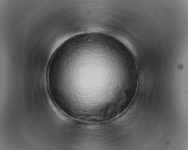 X0000092261047200709281200