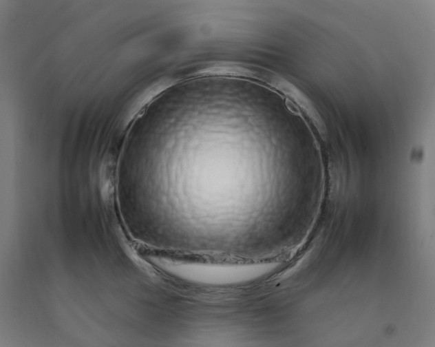 X0000092261049200709281200