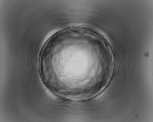 X0000092261050200709281200