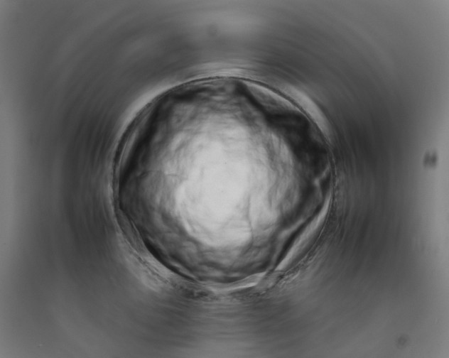 X0000092261051200709281200