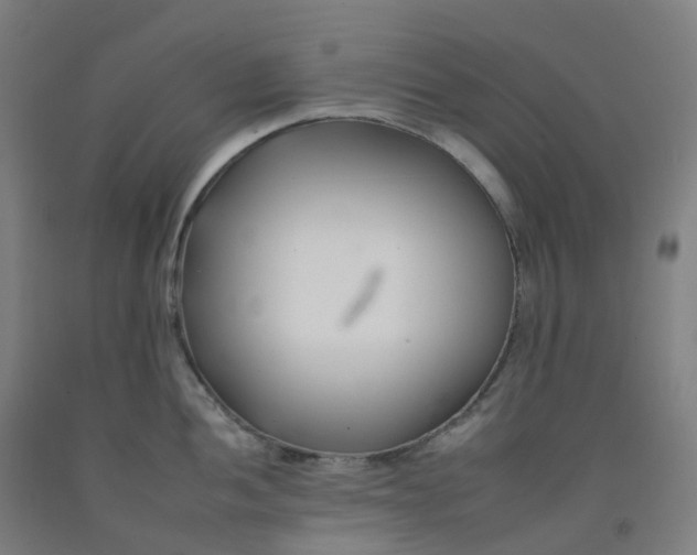 X0000092261052200709281200