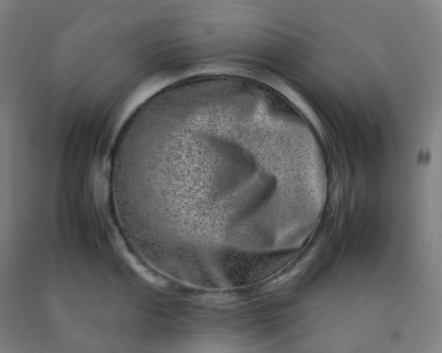 X0000092261053200709281200