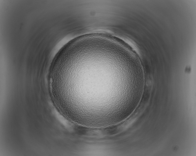 X0000092261054200709281200