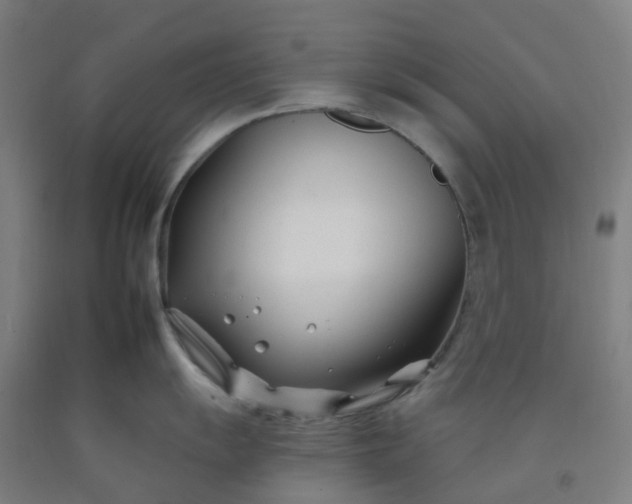 X0000092261055200709281200