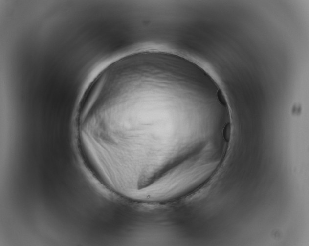 X0000092261056200709281200