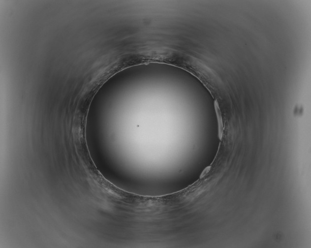 X0000092261058200709281200