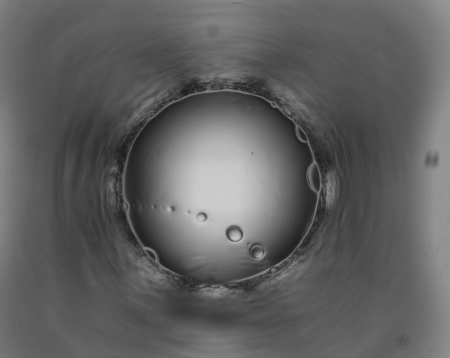 X0000092261059200709281200