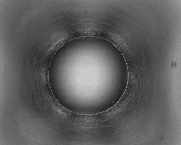 X0000092261060200709281200