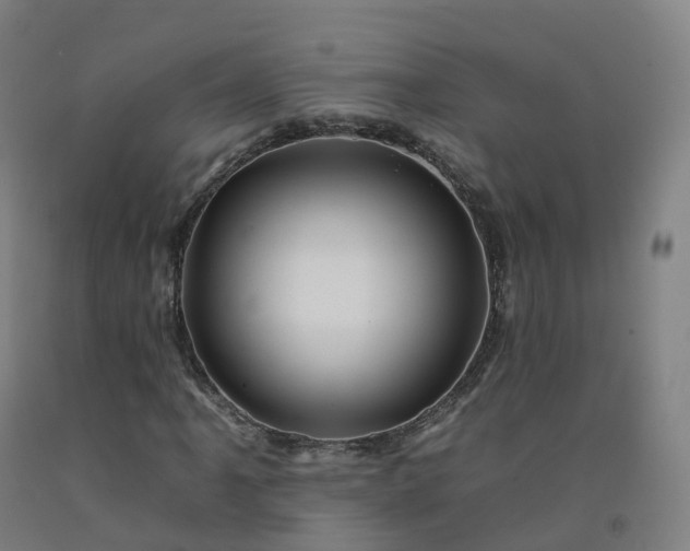 X0000092261061200709281200