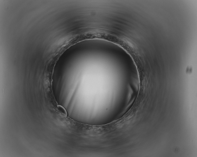 X0000092261062200709281200