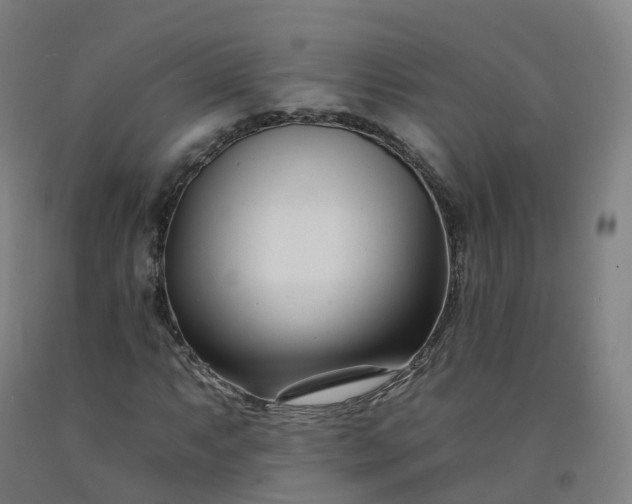 X0000092261063200709281200