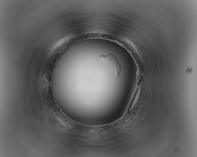 X0000092261064200709281200