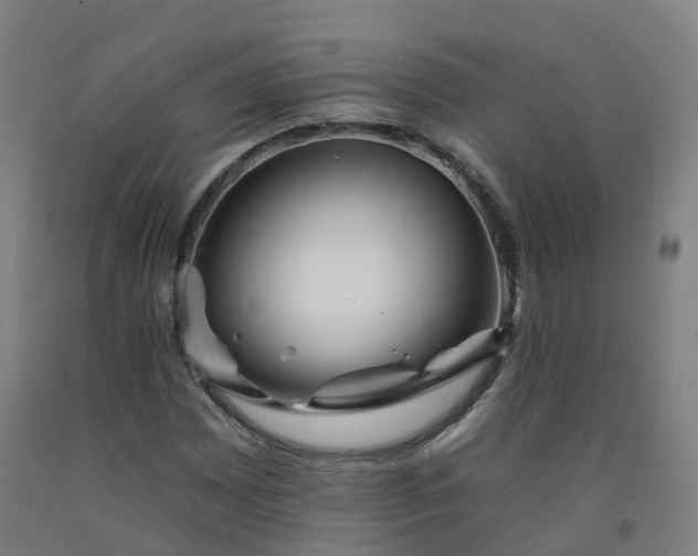 X0000092261065200709281159