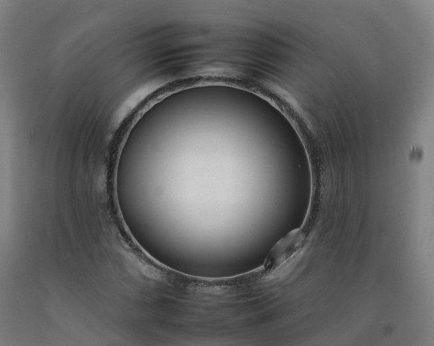 X0000092261066200709281159