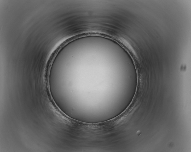 X0000092261068200709281159