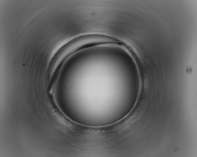 X0000092261069200709281159